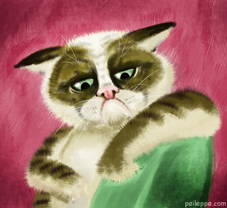 Grumpy Cat